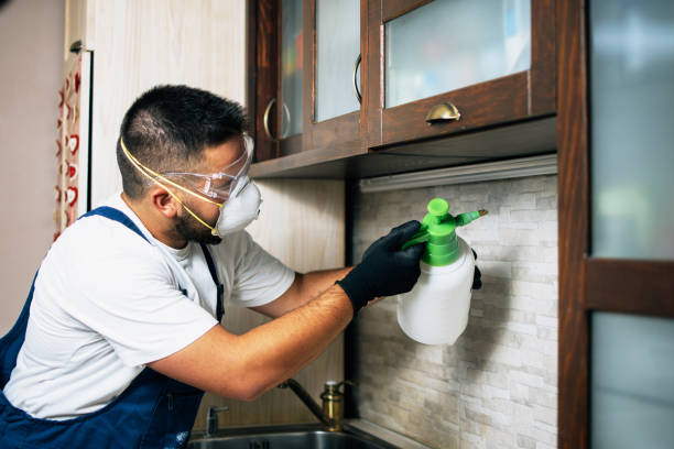 Best Pest Prevention Services  in Erie, IL