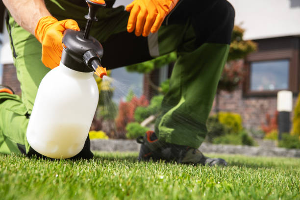 Best Pest Control Near Me in Erie, IL