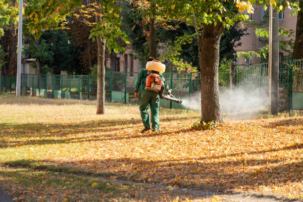 Best Affordable Pest Control Services  in Erie, IL