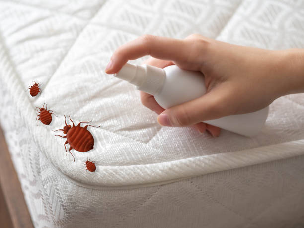 Best Ant Control Services  in Erie, IL