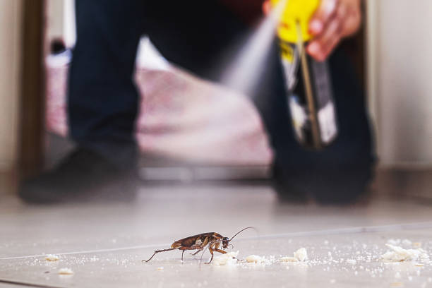 Best Commercial Pest Control Services  in Erie, IL