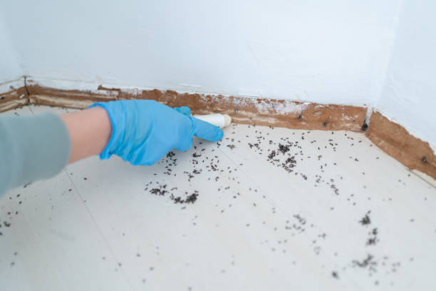 Best Best Pest Control Companies  in Erie, IL