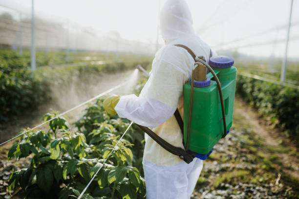 Best Best Pest Control Companies  in Erie, IL